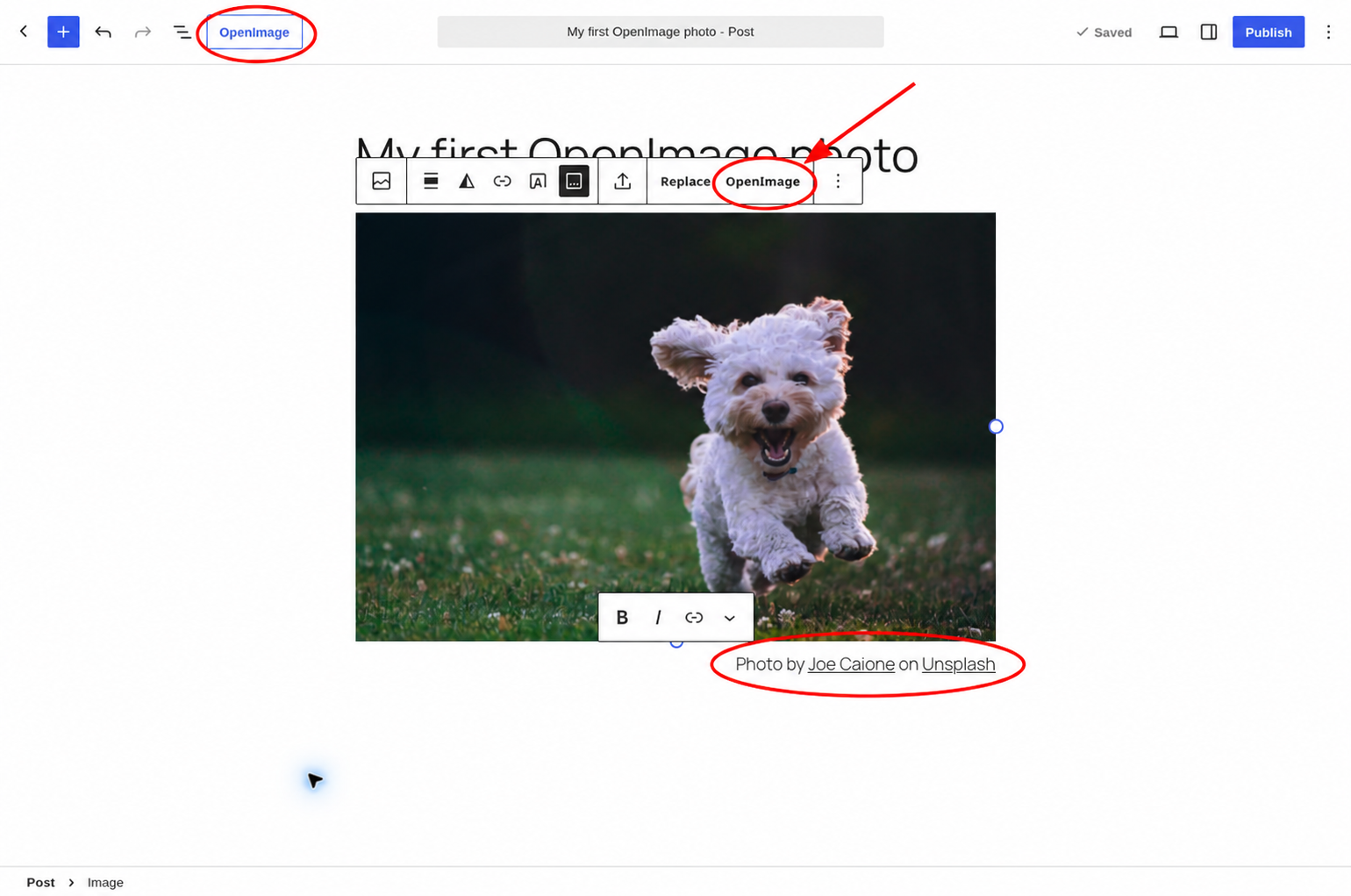 WordPress editor showing an inserted puppy photo, its linked Joe Caione and Unsplash credit beneath the image, and the OpenImage replacement control in the image toolbar.