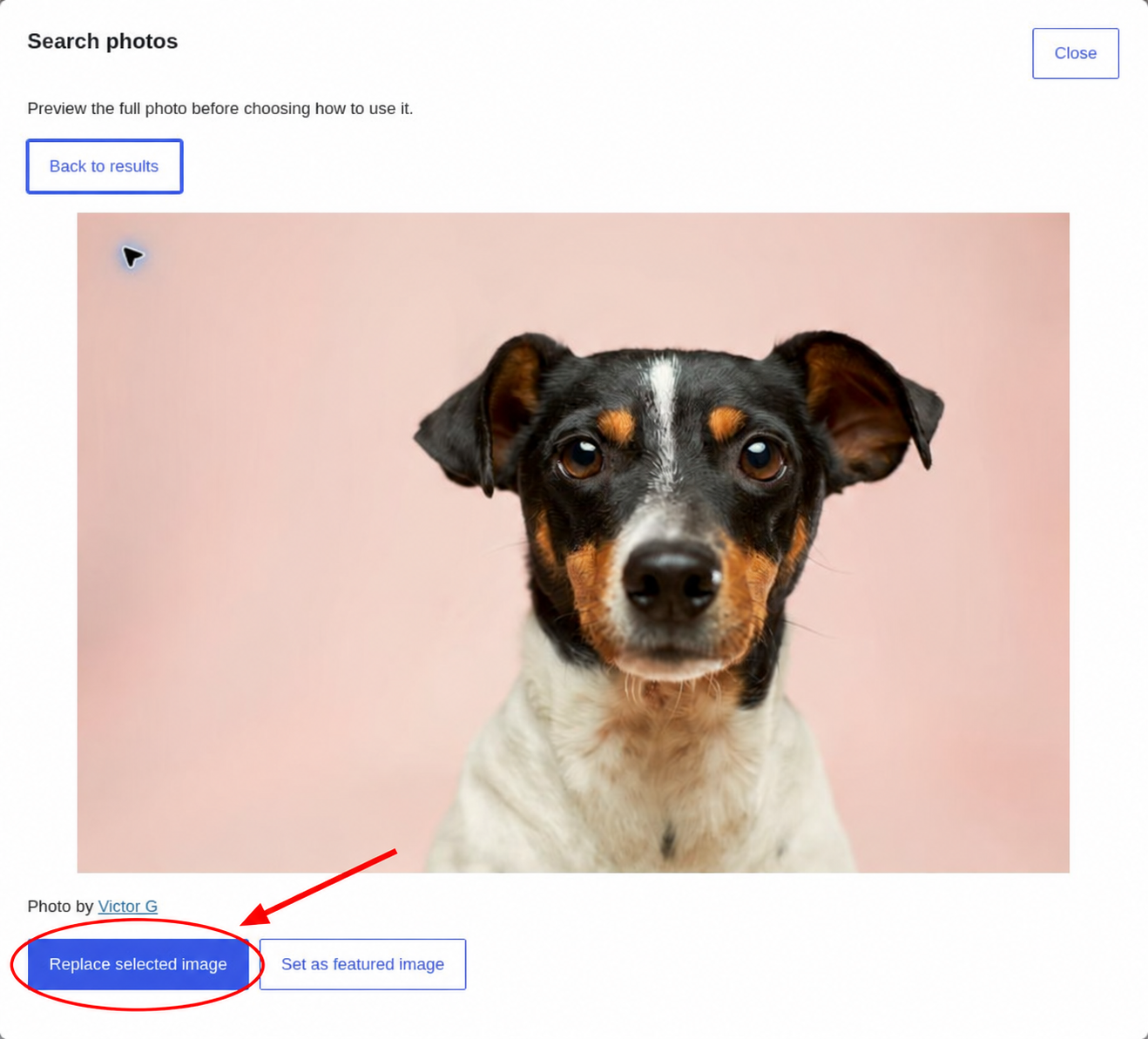 OpenImage preview of a dog photographed by Victor G, showing the Replace selected image button.