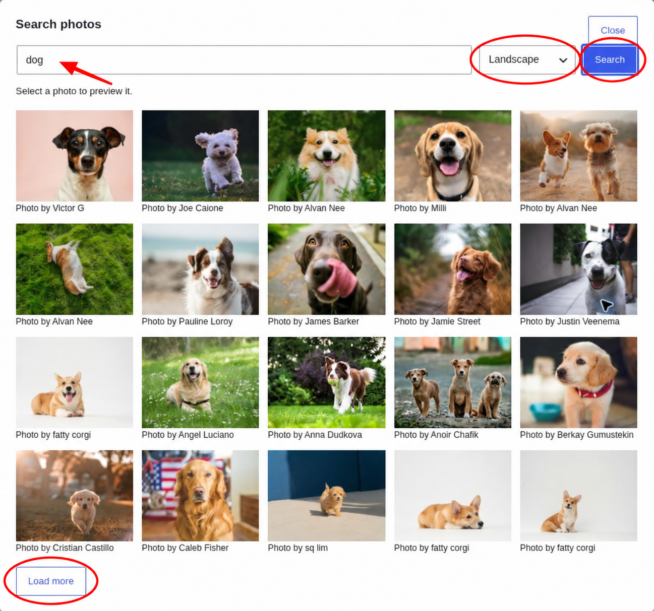 OpenImage search window showing the term dog, the Landscape orientation filter, and a grid of dog photographs.
